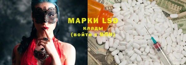 PSILOCYBIN Баксан