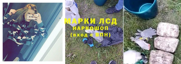 PSILOCYBIN Баксан