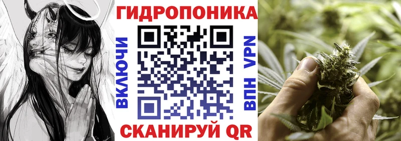 Бошки марихуана индика  дарнет шоп  Бежецк 